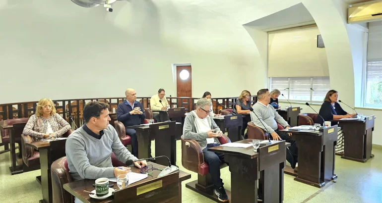 Fuerte cruce en el Concejo Deliberante por la subasta de terrenos municipales: el proyecto vuelve a comisión Fuerte cruce en el Concejo Deliberante por la subasta de terrenos municipales: el proyecto vuelve a comisión