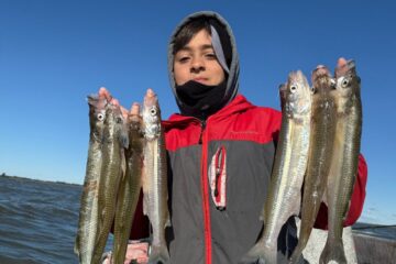 Temporada de buena pesca en Guaminí: las lagunas rinden con pejerreyes de hasta 30 cm