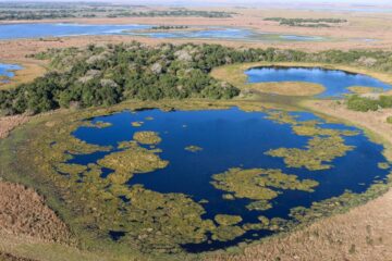 Impulsan una ley para proteger el ecosistema de Lagunas Encadenadas