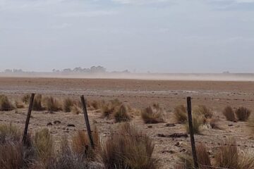 La Provincia declaró la emergencia agropecuaria en distritos de la región