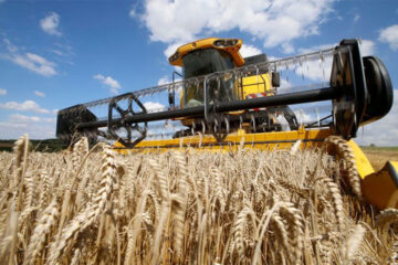 La liquidación del campo subió 32% en abril