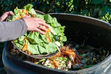 En Argentina se desechan más de 16 toneladas de alimentos por año