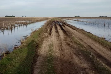 Emergencia, desastre y dinero para caminos rurales: Adolfo Alsina y la zona siguen complicados