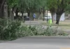 Alerta naranja por viento en la región: Bahía, Monte y Dorrego suspenden todas las actividades