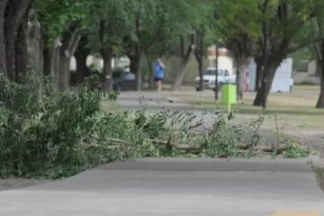 Alerta naranja por viento en la región: Bahía, Monte y Dorrego suspenden todas las actividades