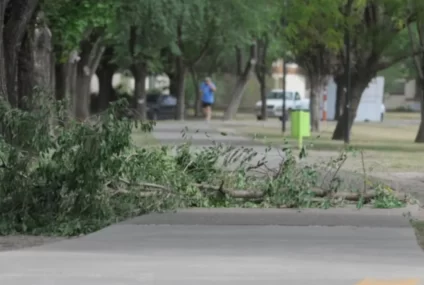 Alerta naranja por viento en la región: Bahía, Monte y Dorrego suspenden todas las actividades