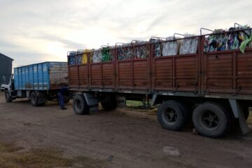 La separación que suma: 4.600 kilos de reciclables salieron desde Rivera