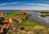 El campo denuncia que ya se perdieron USD 5.000 millones por la motosierra de Milei