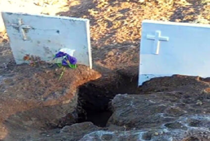 Cementerio en Carhué: Concejales exigen proteger tumbas de la acción de zorros y animales silvestres