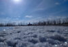 La “nieve salada” ya tiñe las orillas del Lago Epecuén: comenzó la cristalización del invierno