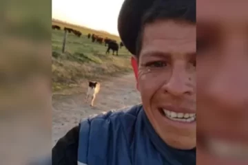 Peón rural despedido tras 11 años, lloró al separarse de su perro, su video se hizo viral y hubo consecuencias para sus patrones