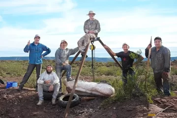Descubren en Neuquén una nueva especie de dinosaurio que vivió hace 95 millones de años