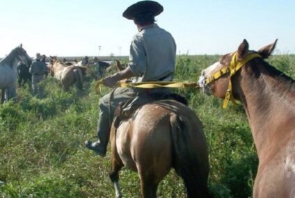 Aumentan la prestación por desempleo para trabajadores rurales: el monto máximo será de $395.000 Aumentan la prestación por desempleo para trabajadores rurales: el monto máximo será de $395.000