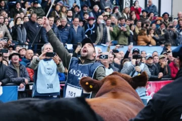 Los Grandes Campeones de Palermo 2025 llegaron desde el Sudoeste