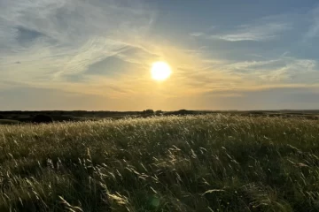 Más que arena y mar: el tesoro desconocido de Claromecó que sorprende