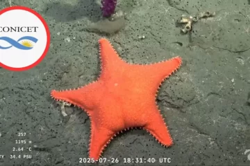 La transmisión científica del CONICET superó en audiencia a los principales canales de noticias