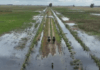 El Niño podría ser uno de los más intensos de la historia y anticipan hasta 90% más de lluvias El Niño podría ser uno de los más intensos de la historia y anticipan hasta 90% más de lluvias