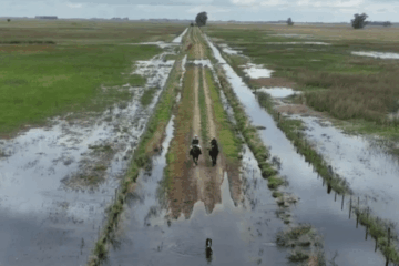 CARBAP alertó por una crisis histórica con más de un millón de hectáreas inundadas
