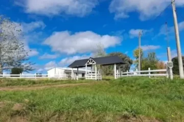 Robo millonario en Sierra de la Ventana: delincuentes se llevaron U$S 25.000 de una vivienda