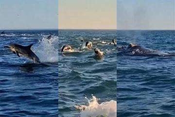 “¡Mirá qué preciosura!”: Fueron a pescar y el mar les regaló un espectáculo sorprendente