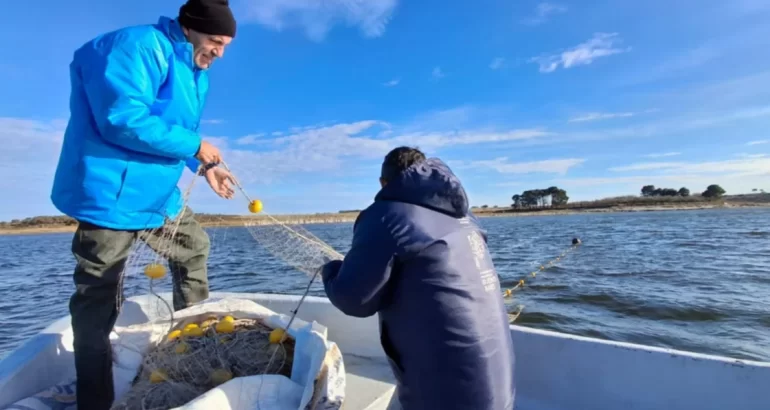 Preocupación en Laguna Chasicó: no hay pejerreyes y temen un éxodo poblacional Preocupación en Laguna Chasicó: no hay pejerreyes y temen un éxodo poblacional