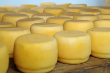 El Ministerio de Salud confirmó el primer brote de listeriosis en la Argentina por queso contaminado