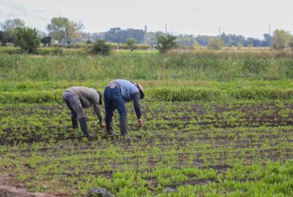 120.000 puestos rurales corren riesgo porque el Gobierno no renovó la compatibilidad con planes sociales 120.000 puestos rurales corren riesgo porque el Gobierno no renovó la compatibilidad con planes sociales