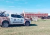 Recuperan en Villarino 27 terneras robadas en un campo de La Pampa