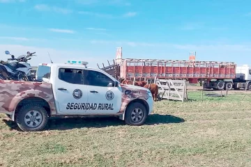 Recuperan en Villarino 27 terneras robadas en un campo de La Pampa