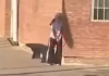 La nena de 14 años que se había atrincherado entregó el arma y fue trasladada a un Hospital