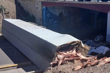 Volcó un camión con carne en Mendoza, los vecinos intentaron llevarse la carga y la policía tuvo que reprimir Volcó un camión con carne en Mendoza, los vecinos intentaron llevarse la carga y la policía tuvo que reprimir