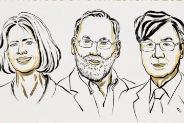 El Nobel de Medicina 2025 premió un estudio sobre tolerancia inmune