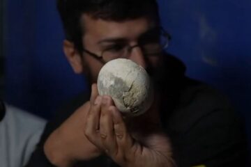 Histórico: el primer huevo de dinosaurio carnívoro de América Latina fue encontrado en Argentina