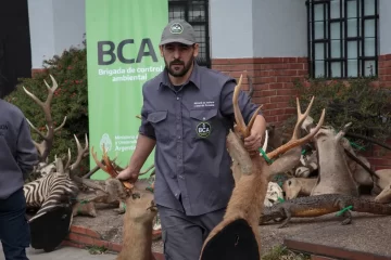 Otorgarán un importante Premio internacional a un argentino que desmanteló una red de caza ilegal y tráfico de fauna Otorgarán un importante Premio internacional a un argentino que desmanteló una red de caza ilegal y tráfico de fauna