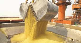 El Gobierno oficializó el esquema de reducción gradual de las retenciones para el agro El Gobierno oficializó el esquema de reducción gradual de las retenciones para el agro