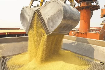Récord histórico: el agro liquidó US$ 7.100 millones en septiembre