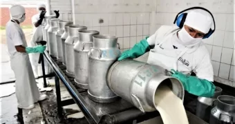 Menos tambos, más producción: la lechería argentina profundiza su proceso de concentración Menos tambos, más producción: la lechería argentina profundiza su proceso de concentración