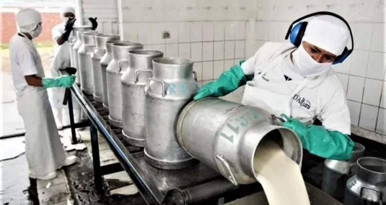 El ranking de las industrias lácteas en Argentina: las 40 empresas que más leche procesan en el país El ranking de las industrias lácteas en Argentina: las 40 empresas que más leche procesan en el país