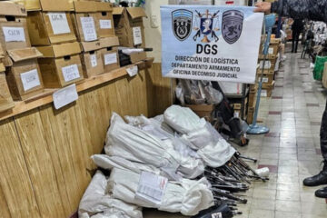 Destruyeron más de 300 armas secuestradas en la región