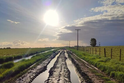 Municipios bajo presión: productores avanzan por la vía judicial contra la tasa vial y las guías ganaderas