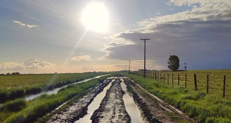 Municipios bajo presión: productores avanzan por la vía judicial contra la tasa vial y las guías ganaderas