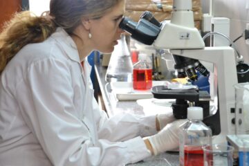 La Provincia financiará proyectos de investigación impulsados por 34 universidades de todo el país La Provincia financiará proyectos de investigación impulsados por 34 universidades de todo el país