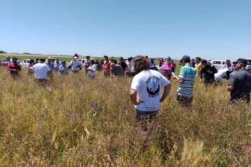 Reconocerán a Guaminí como “Faro de la Agroecología” por sus más de 5.000 hectáreas libres de agroquímicos