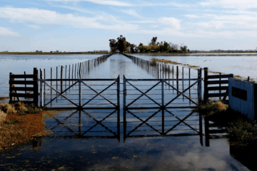 “Ilegal e improcedente”: fuerte crítica de CARBAP por la suba del Inmobiliario Rural en medio de las inundaciones