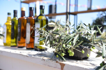 Adolfo Alsina y el Sudoeste, foco de un plan provincial que impulsa el agregado de valor