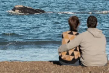 Cuánto necesita una familia para viajar durante este fin de semana XXL Cuánto necesita una familia para viajar durante este fin de semana XXL