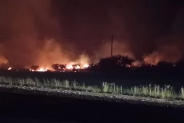 Incendios rurales arrasaron hasta 12 mil hectáreas entre Araúz y Bernasconi Incendios rurales arrasaron hasta 12 mil hectáreas entre Araúz y Bernasconi
