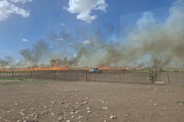 Bomberos de Espartillar controlaron un incendio que arrasó 70 hectáreas de cebada Bomberos de Espartillar controlaron un incendio que arrasó 70 hectáreas de cebada