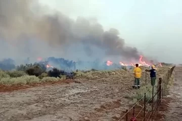 Incendios forestales en La Pampa: ya se quemaron 142.000 hectáreas y crece la preocupación
