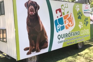 Balance sanitario: más de mil castraciones y casi dos mil vacunas antirrábicas en Adolfo Alsina en 2025